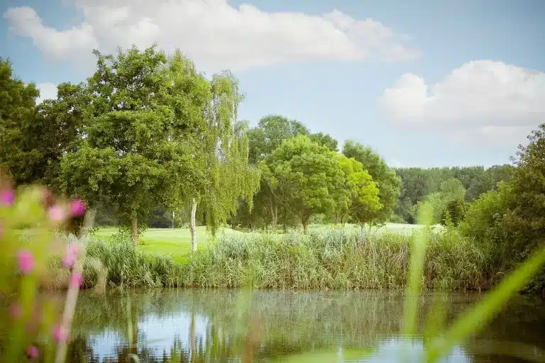 1-Golfbaan-Spaarnwoude-Natuur-Water
