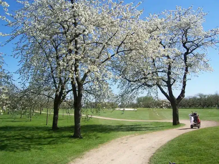 2-Golfbaan-Landgoed-Welderen-Golfbaan