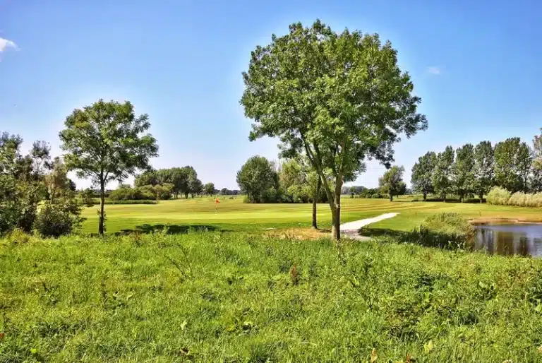 2-Golfplatz-Sluispolder-Boom