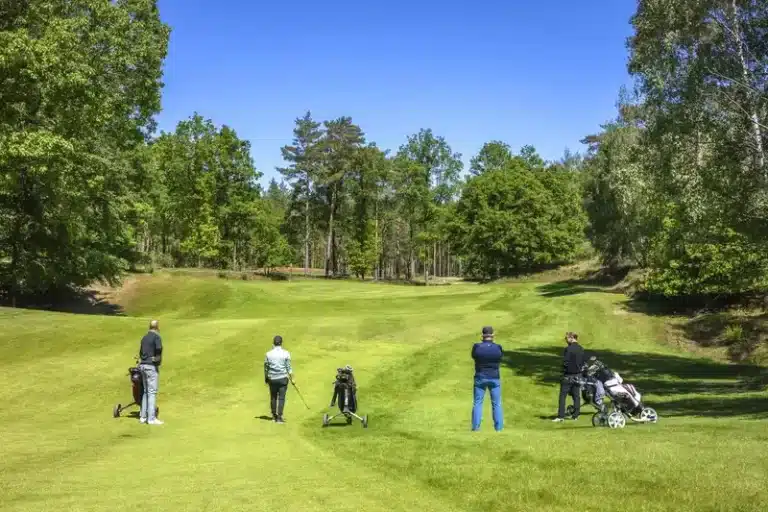 2-Golfbaande-Herkenbosche-Golfers