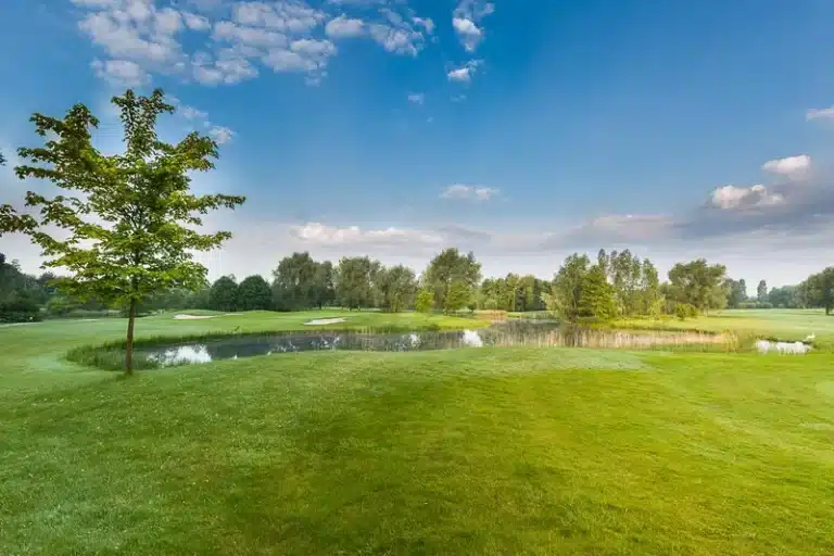 25-Cromme-Rhein-Wasser-Sonne
