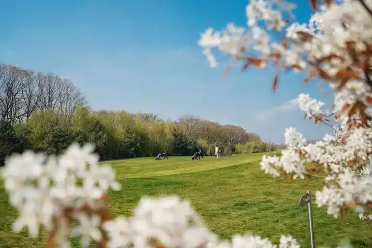 3-Golfbaan-Landgoed-Bleijenbeek-Bloemen-Golfen