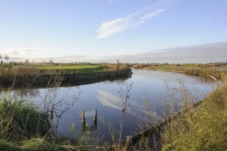3-Golfplatz-Dirkshorn-Wasser