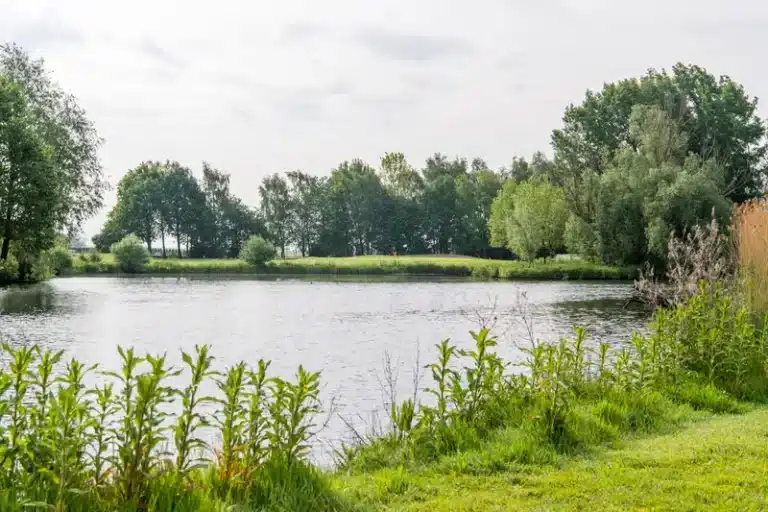 4-Golfbaan-Landgoed-Welderen-Golfbaan-Water
