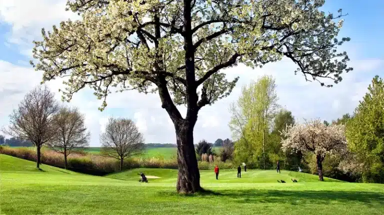 5-Zuid-Limburgse-Golf-En-Country-Club-Wittem-Boom