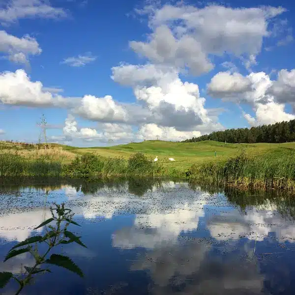 6-Golfbaan-Regthuys-Water-Golfbaan