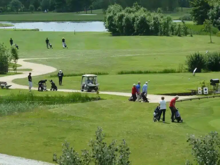 8-Golfplatz-Delfland-Golfwagen