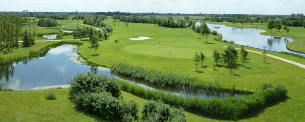 Delfland 4