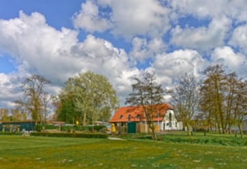 Grün-Gelb 3